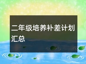 二年級(jí)培養(yǎng)補(bǔ)差計(jì)劃匯總