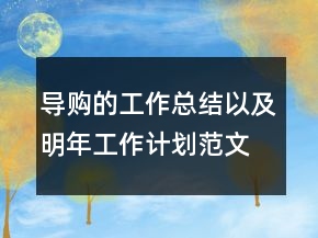 導購的工作總結以及明年工作計劃范文