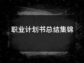 職業(yè)計(jì)劃書(shū)總結(jié)集錦
