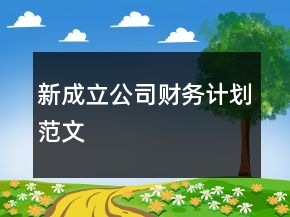 新成立公司財務計劃范文