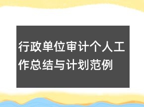 行政單位審計個人工作總結(jié)與計劃范例