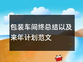 包裝車間終總結(jié)以及來年計(jì)劃范文