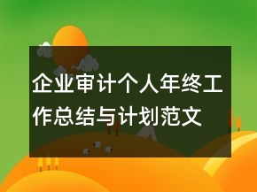 企業(yè)審計(jì)個(gè)人年終工作總結(jié)與計(jì)劃范文精選
