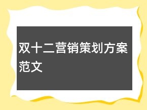 雙十二營銷策劃方案范文