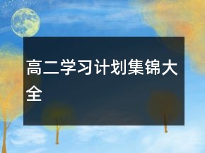 高二學(xué)習(xí)計(jì)劃集錦大全