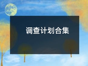 調(diào)查計劃合集