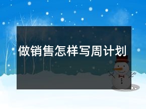 做銷售怎樣寫周計劃
