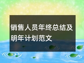 銷售人員年終總結(jié)及明年計(jì)劃范文