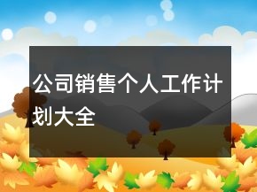 公司銷售個(gè)人工作計(jì)劃大全