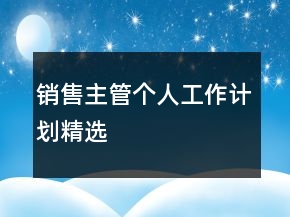 銷售主管個(gè)人工作計(jì)劃精選