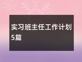 實習班主任工作計劃5篇