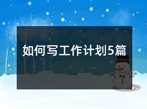 如何寫工作計(jì)劃5篇