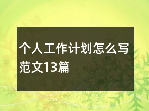 個(gè)人工作計(jì)劃怎么寫(xiě)范文13篇