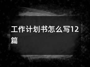 工作計(jì)劃書怎么寫12篇