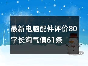 最新電腦配件評價80字長淘氣值61條