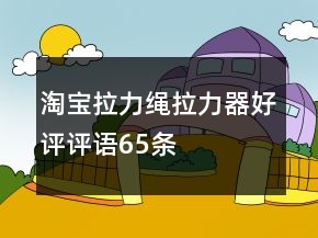 淘寶拉力繩、拉力器好評(píng)評(píng)語(yǔ)65條