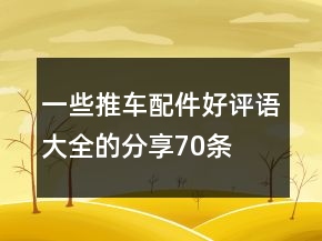 一些推車配件好評語大全的分享70條
