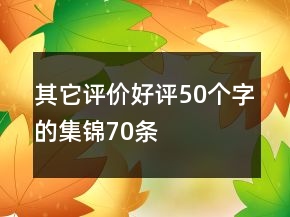 其它評價(jià)好評50個(gè)字的集錦70條
