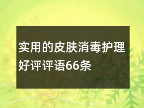 實(shí)用的皮膚消毒護(hù)理好評(píng)評(píng)語(yǔ)66條