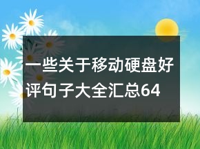 一些關(guān)于移動硬盤好評句子大全匯總64條