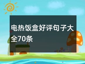 電熱飯盒好評句子大全70條
