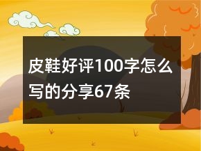 皮鞋好評100字怎么寫的分享67條