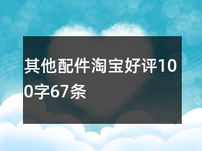 其他配件淘寶好評100字67條