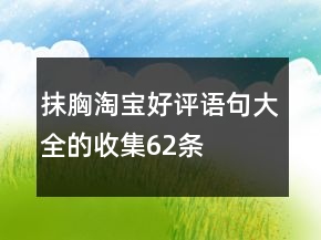 抹胸淘寶好評(píng)語(yǔ)句大全的收集62條