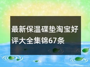 最新保溫碟、墊淘寶好評(píng)大全集錦67條