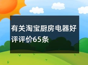 有關(guān)淘寶廚房電器好評(píng)評(píng)價(jià)65條
