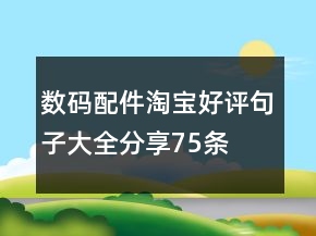 數(shù)碼配件淘寶好評句子大全分享75條