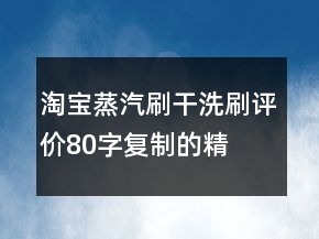 淘寶蒸汽刷、干洗刷評價80字復(fù)制的精選69條