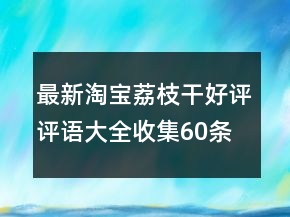 最新淘寶荔枝干好評評語大全收集60條