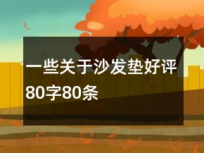 一些關(guān)于沙發(fā)墊好評80字80條