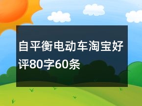 自平衡電動車淘寶好評80字60條