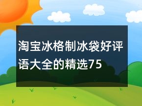 淘寶冰格、制冰袋好評語大全的精選75條