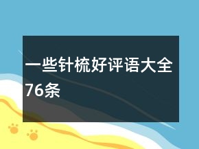 一些針梳好評語大全76條