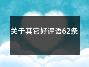 關(guān)于其它好評語62條