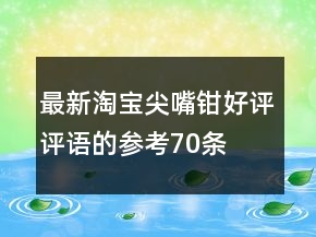 最新淘寶尖嘴鉗好評(píng)評(píng)語(yǔ)的參考70條