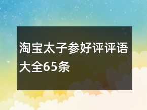 淘寶太子參好評(píng)評(píng)語(yǔ)大全65條