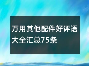 萬用其他配件好評(píng)語(yǔ)大全匯總75條