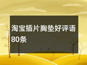 淘寶插片、胸墊好評語80條