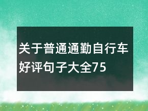 關(guān)于普通、通勤自行車好評(píng)句子大全75條