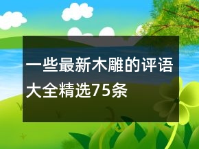 一些最新木雕的評(píng)語(yǔ)大全精選75條