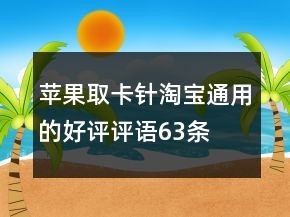 蘋(píng)果取卡針淘寶通用的好評(píng)評(píng)語(yǔ)63條