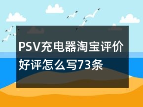 PSV充電器淘寶評價好評怎么寫73條
