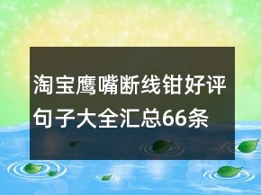 淘寶鷹嘴斷線鉗好評句子大全匯總66條