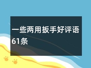 一些兩用扳手好評語61條