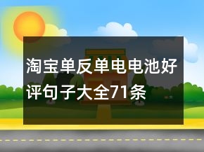 淘寶單反、單電電池好評句子大全71條