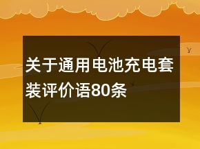 關(guān)于通用電池充電套裝評(píng)價(jià)語80條